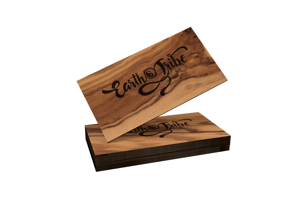 Earth Tribe panoramic prev logo design business card